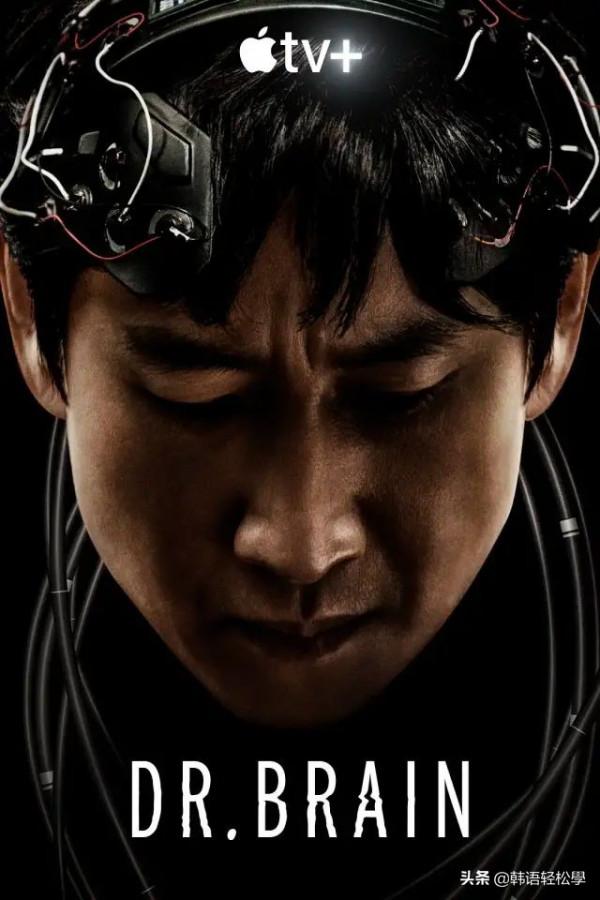 十一月看片指南 十一月看片指南