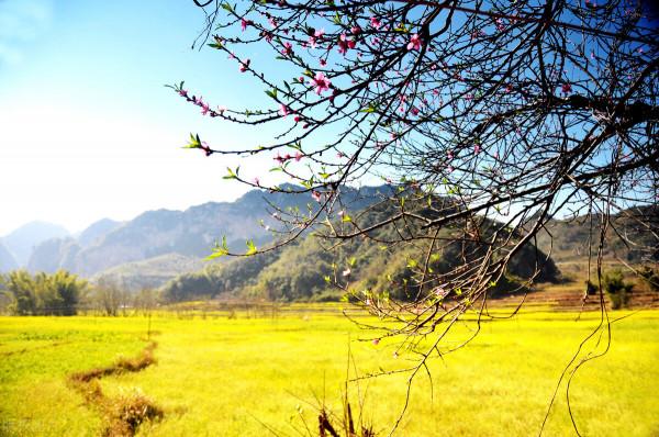 原來雲南的小眾秘境這麼美,這6處美麗而小眾的景點你都去過嗎? 原來雲南的小眾秘境這麼美,這6處美麗而小眾的景點你都去過嗎?
