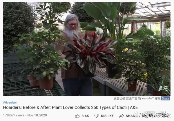 被疫情困太久，歐美年輕人開始瘋狂囤積綠植，借錢都要買？