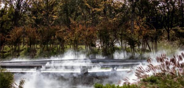 看！“鳥中大熊貓”中華秋沙鴨、“魚鷹子”銀鷗、頂冠戴翎的蜂鷹……溫榆河公園生物多樣性別有洞天！