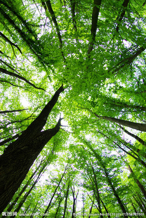 就堅持運動這件事，談談怎樣才能知行合一