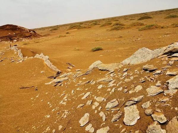 邊關兵之初 在戈壁深處迷路 邊關兵之初 在戈壁深處迷路