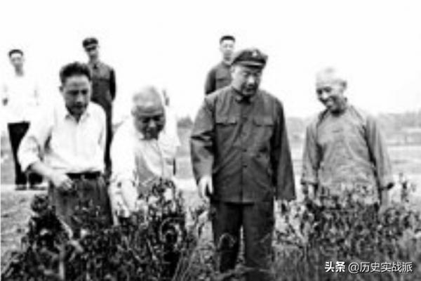 1965年,毛主席在武漢接見張平化,毛主席:你陪我回一趟井岡山吧 1965年,毛主席在武漢接見張平化,毛主席:你陪我回一趟井岡山吧