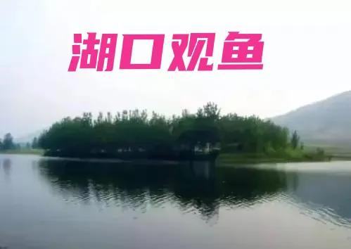 嶧縣老八景之一一湖口觀魚