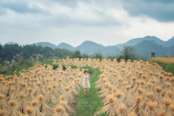13年上市的相機效果怎麼樣