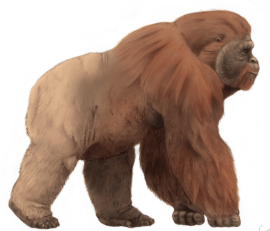 九大史前巨獸，告訴你，人類戰勝了什麼，才成為了地球的霸主