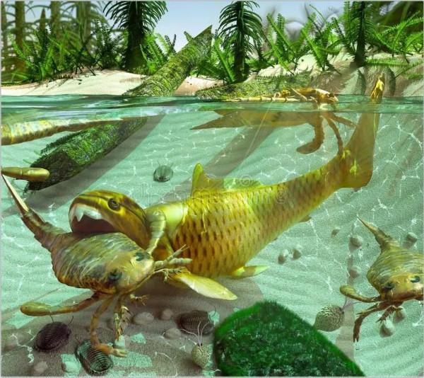 脊椎動物崛起，目標征服陸地——泥盆紀