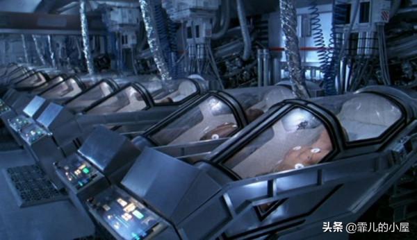 假如我們變成冷血動物會怎樣？