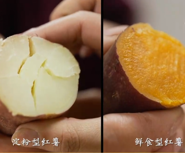 丈夫說她走火入魔了，她花掉10年幾百萬積蓄，還欠200萬！為啥？