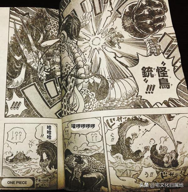 海賊王1036話「個人漢化」新舊時代的分割線即將誕生