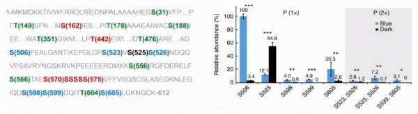 國際關注!東北“超牛”教師:研究步入世界前沿,成果登頂《自然》《科學》! 國際關注!東北“超牛”教師:研究步入世界前沿,成果登頂《自然》《科學》!