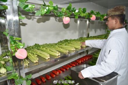 齊齊齊！軍營冬儲菜窖治癒強迫症