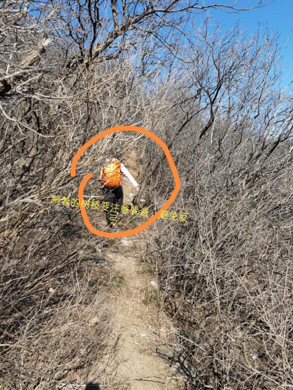 戶外爬山小技巧，你一定要知道的安全小常識