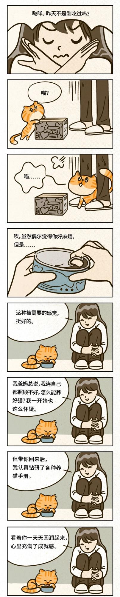 養貓後,人會發生什麼變化? 養貓後,人會發生什麼變化?