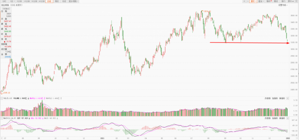 探底回升，市場止跌了嗎？