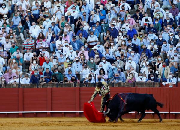 西班牙塞維利亞舉行新冠疫情以來首次鬥牛表演 西班牙塞維利亞舉行新冠疫情以來首次鬥牛表演