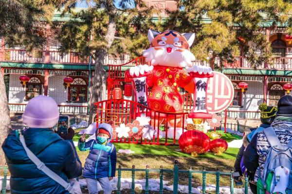 虎年看虎，動物園裡&OpenCurlyDoubleQuote;沾虎氣&rdquo;