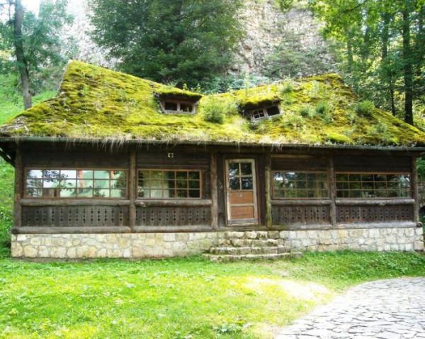 80個神奇照片，最早的鼻罩，比小鎮還大的巨輪，打獵的精美裝備