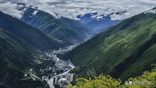 四川馬爾康發現了一隻野生動物，省級專家親自鑑別，有人認識嗎？