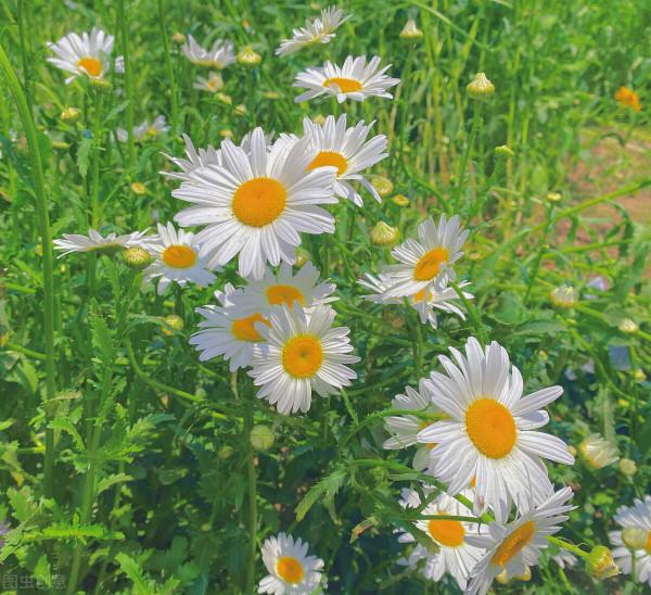 5年沒有傷風感冒，只因我做對了這10件小事情