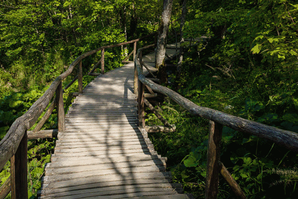 休閒農業的主要經營型別有哪些,其盈利點在哪裡? 休閒農業的主要經營型別有哪些,其盈利點在哪裡?