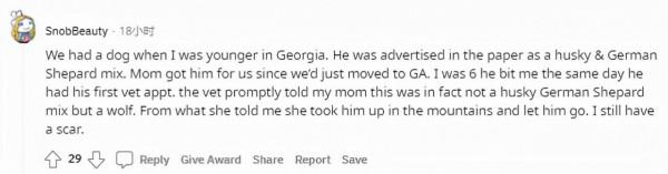 秘魯女子的寵物&quot;狗&quot;總獵殺鄰居家雞鴨，長大一看，這不是狐狸嗎？