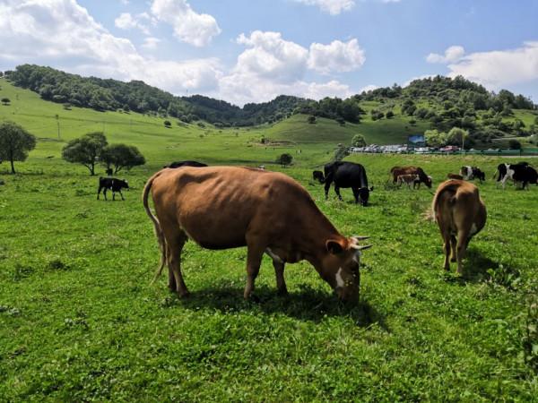 陝西有七個老少皆宜的好玩地方，你知道都在哪裡嗎？