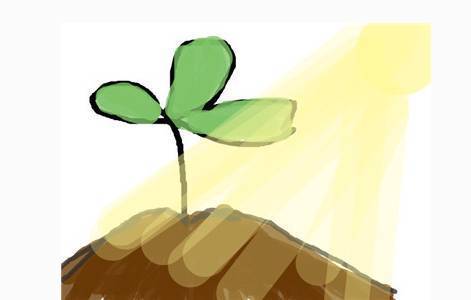 今天是西方的情人節，一起聊聊“談戀愛”