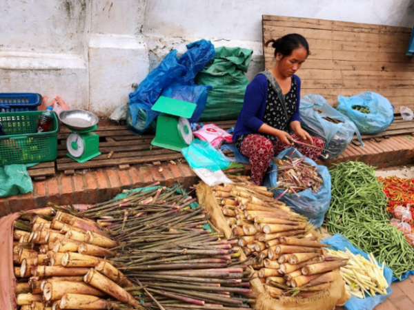 寮國百姓的收入很低，當地物價水平怎麼樣？