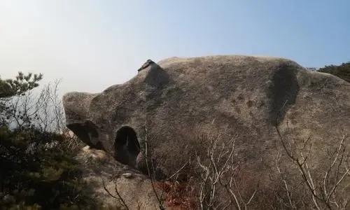 傳說會“說話”的石頭。是什麼情況呢？