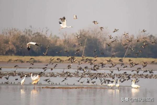 江西、湖南、湖北三省要攜手幹幾件大事！你怎麼看？