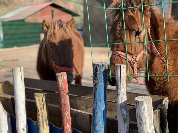 田園自然樂趣多、親子出遊新時尚 田園自然樂趣多、親子出遊新時尚