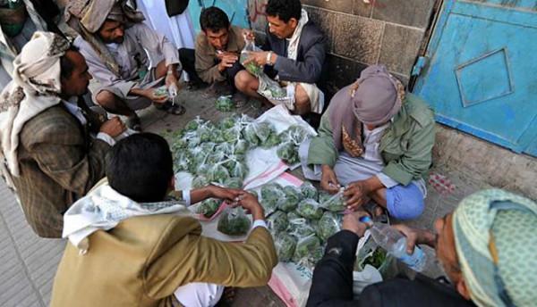 葉門：一個全民嚼“草”的國家，正在“嚼死”自己