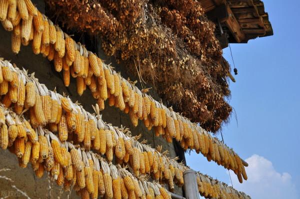 為啥離開農村多年的人，還要重新翻修宅基地，回老家建房養老？