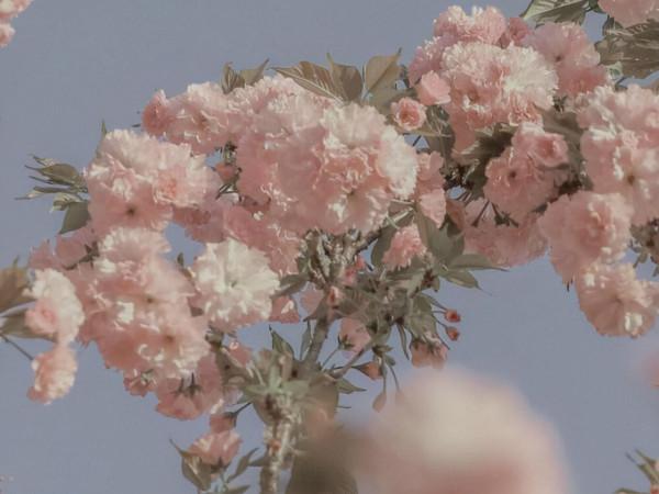 做事靈活多變,擅長突破自我的星座,有靈氣的人,往往不拘一格 做事靈活多變,擅長突破自我的星座,有靈氣的人,往往不拘一格