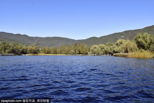 美爆了！這個寶藏公園藏著一大片花海，還有紅葉、銀杏！