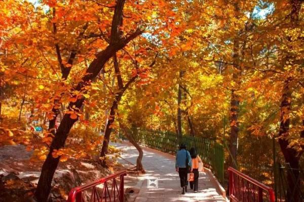 未來一個月,北京周邊的景色將是這樣的—— 未來一個月,北京周邊的景色將是這樣的——