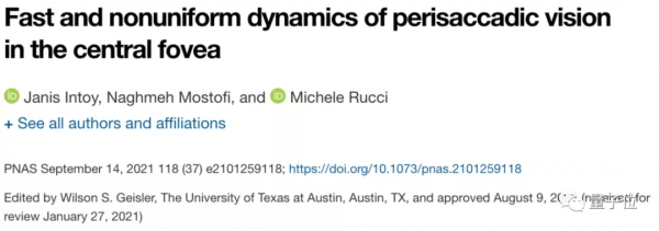 你的眼睛一天內經歷幾萬次“失明”，只是為了讓你看清世界