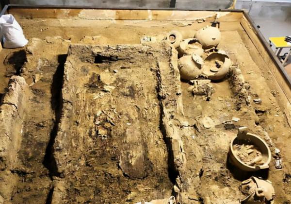 工人修路過程中,無意掘出古墓,專家:墓中埋葬的不是人類 工人修路過程中,無意掘出古墓,專家:墓中埋葬的不是人類