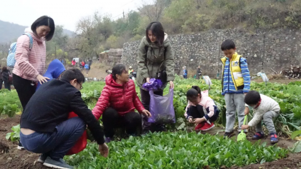 谷山味道▐ 厲害了!糧倉宴亮相央視,揭秘豪橫美食!果蔬採摘節強勢來襲! 谷山味道▐ 厲害了!糧倉宴亮相央視,揭秘豪橫美食!果蔬採摘節強勢來襲!
