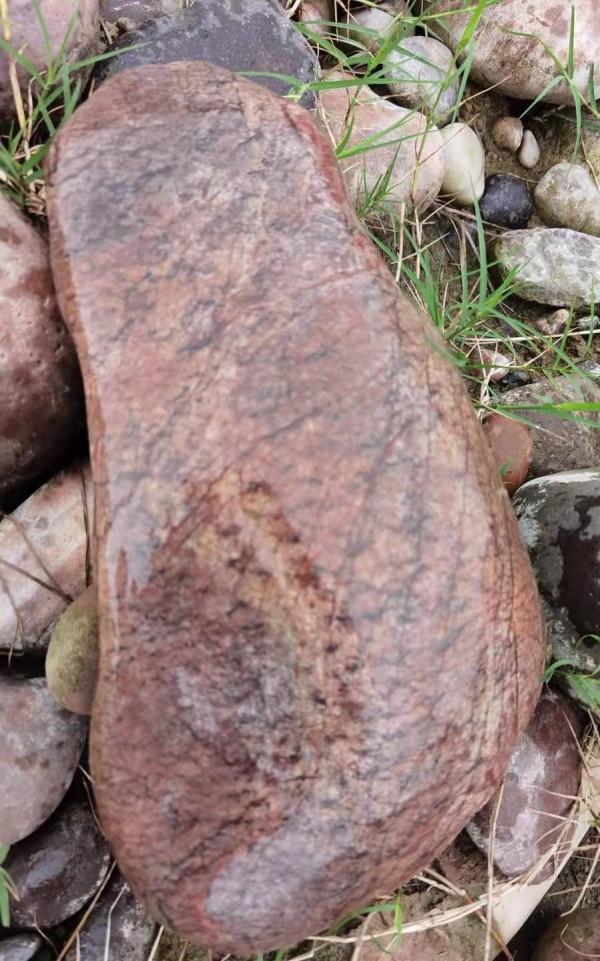 大雨過後好石現，尋得精品慰心神