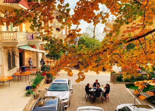 週末自駕，帶小朋友領略“霜葉紅於二月花”，1h可到的世外桃源