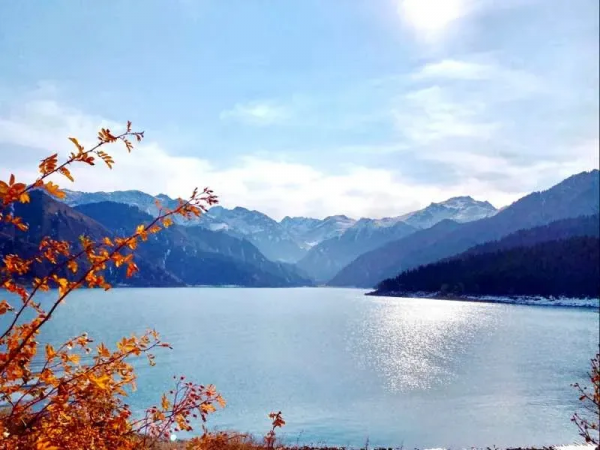 深秋的新疆,季節的交響 深秋的新疆,季節的交響