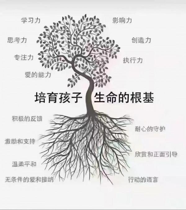 幼兒園小學化教育之痛 幼兒園小學化教育之痛