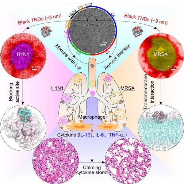 天大團隊新成果可治療病毒細菌混合肺炎