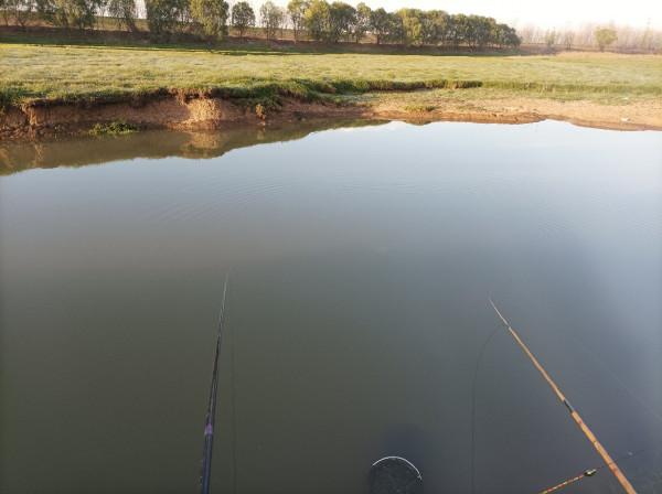 5米寬的河溝頻率逐漸加快，魚口竟然如此暴躁