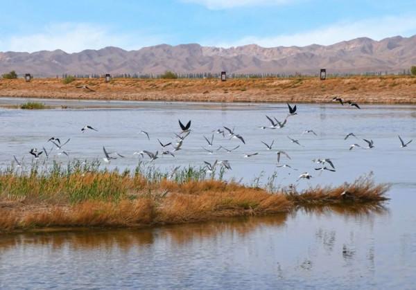 老臘西北行之二《湛藍的湖》 老臘西北行之二《湛藍的湖》