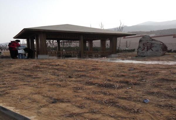 新年，很開心的一天