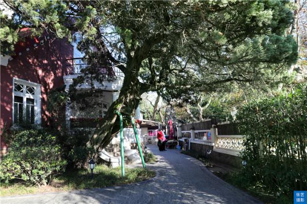 青島八大關有座豪華富麗的花園洋房，因中國首位影后胡蝶而得名