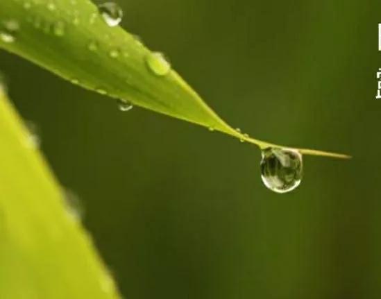 天氣預報:八月十三下雨好嗎?農諺俗語能預兆,看看老祖宗怎麼說 天氣預報:八月十三下雨好嗎?農諺俗語能預兆,看看老祖宗怎麼說